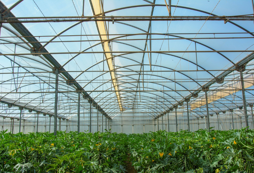 hortyfruta-extension-de-norma