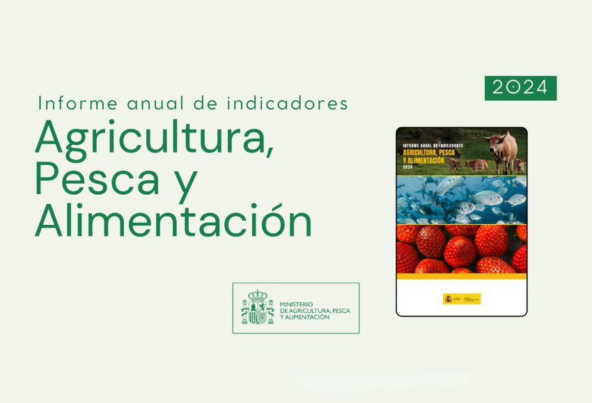 informe anual indicadores 2024