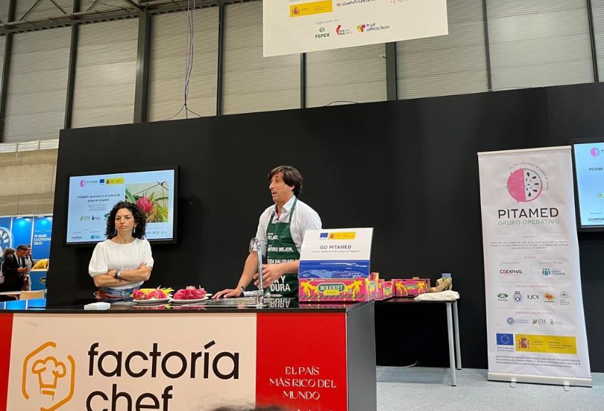 pitamed en la fruit