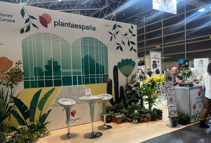 plantaespaña-iberflora