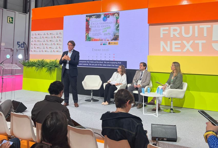 presentación campaña ANOVE