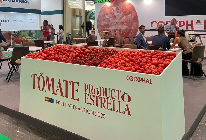 tomate producto estrella