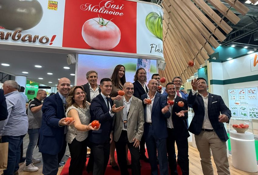 tomate rosa asurcado CASI Nunhmes