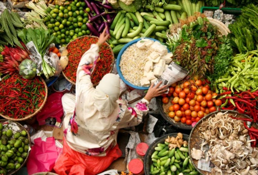 vegetales mundo