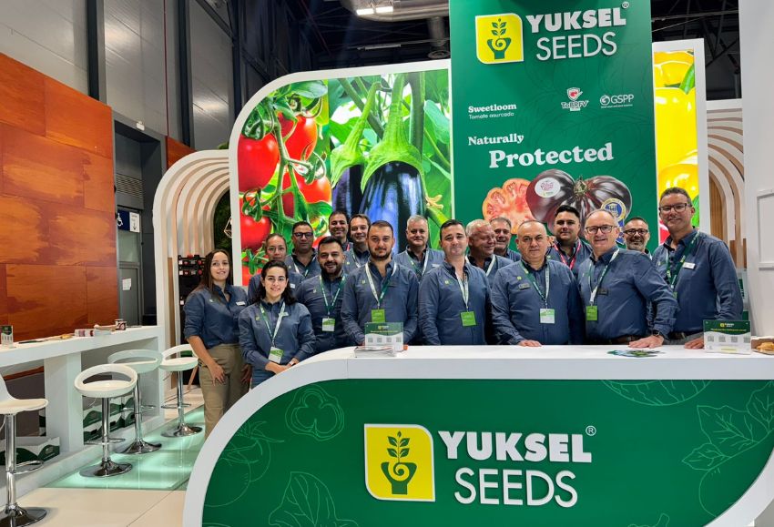 yuksel en fruit
