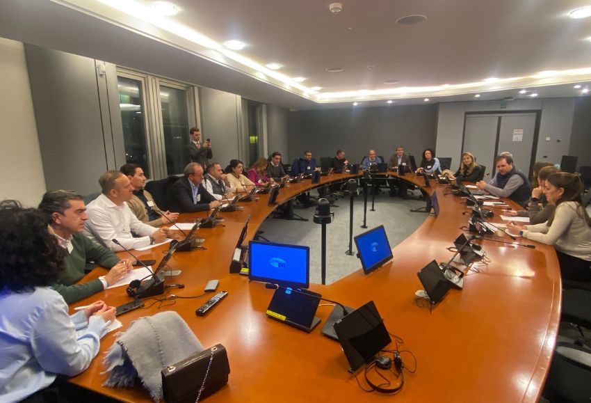 aranzazu parlamento europeo (2)