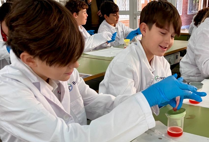 baylab