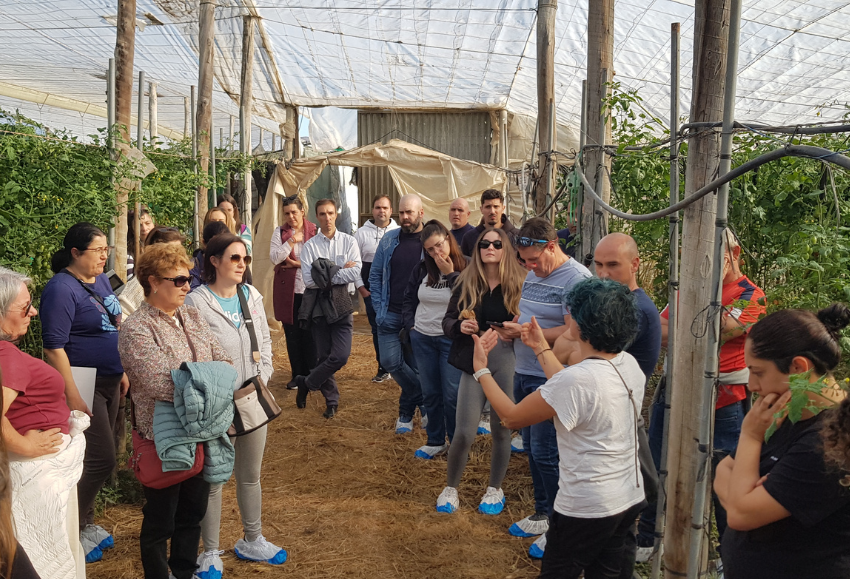 curso-coexphal-triodos