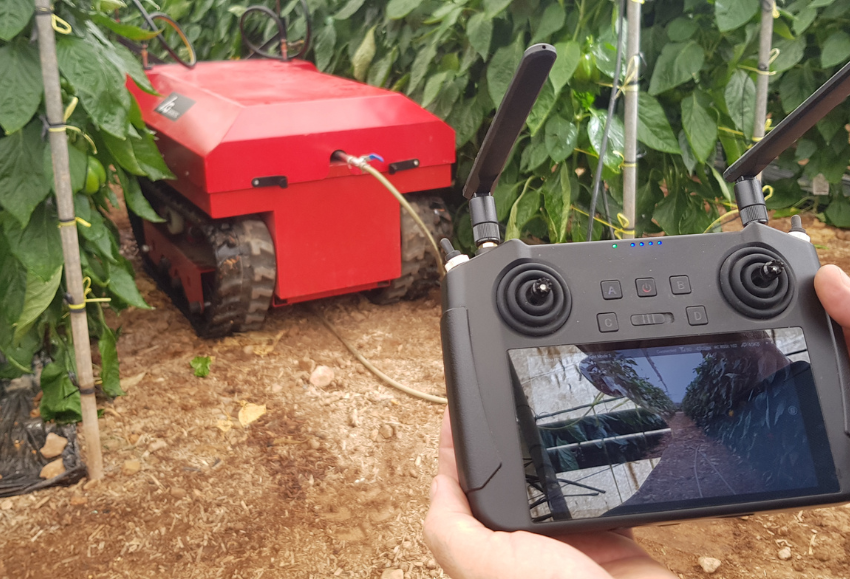 digitalizacion-campo-almeria