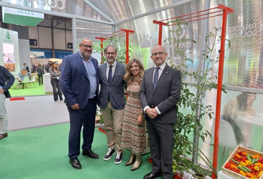 expo sagris