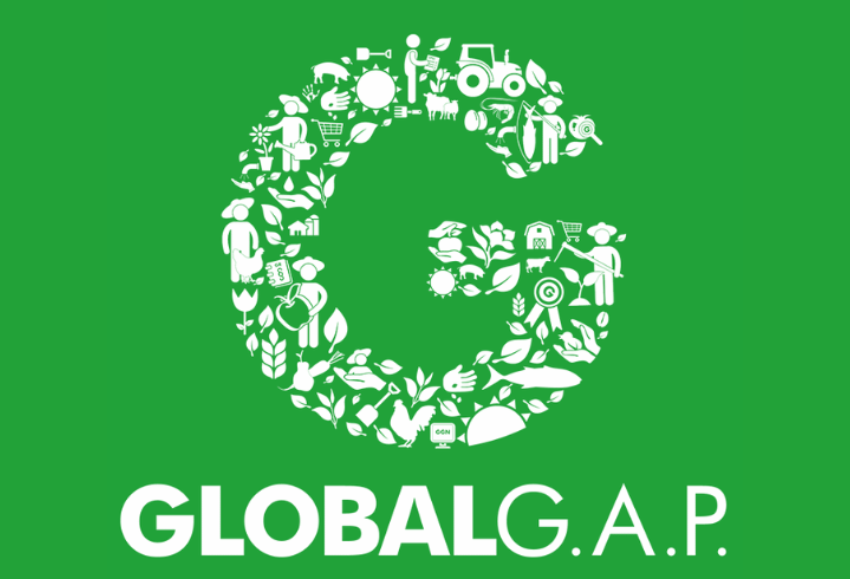 global-gap-ifa