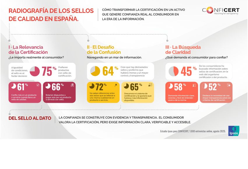 infografia consumidor