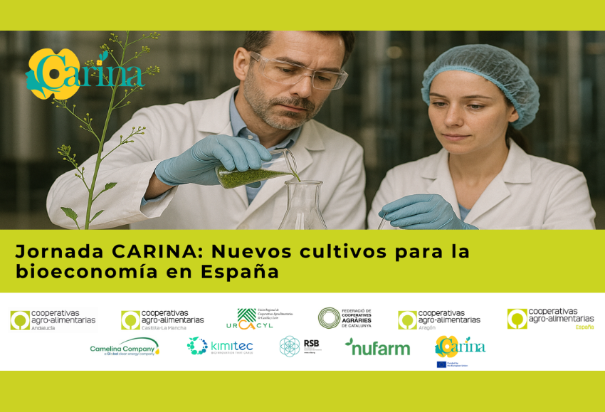 jornada-carina-cooperativas