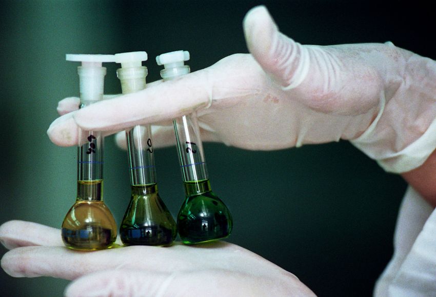 laboratorio vegetal