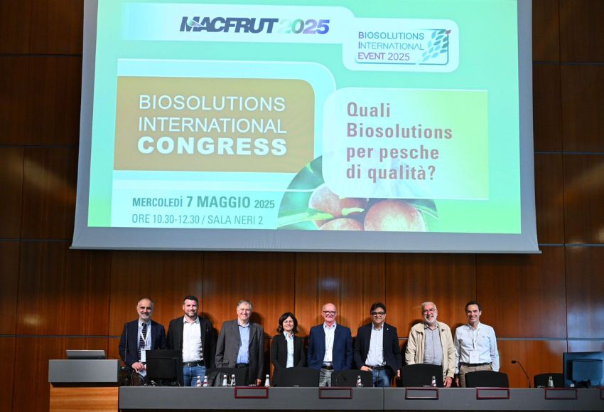 macfrut