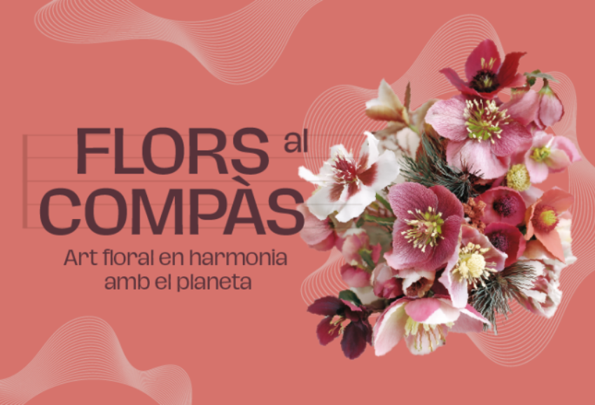 mercabarna-flor-navidad