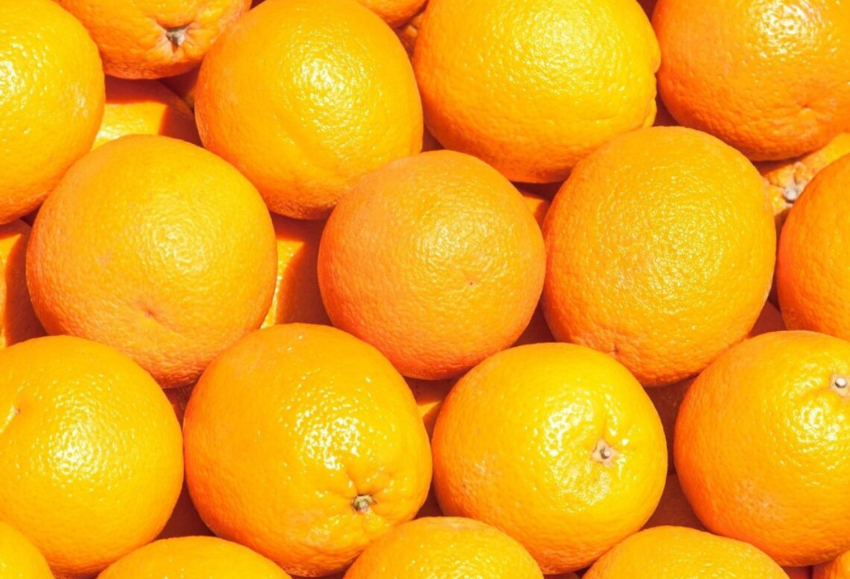 naranjas-andalcitrus