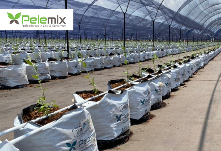 pelemix