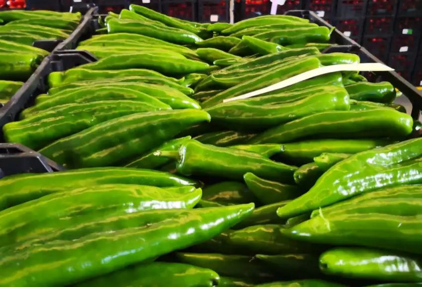 pimiento italiano