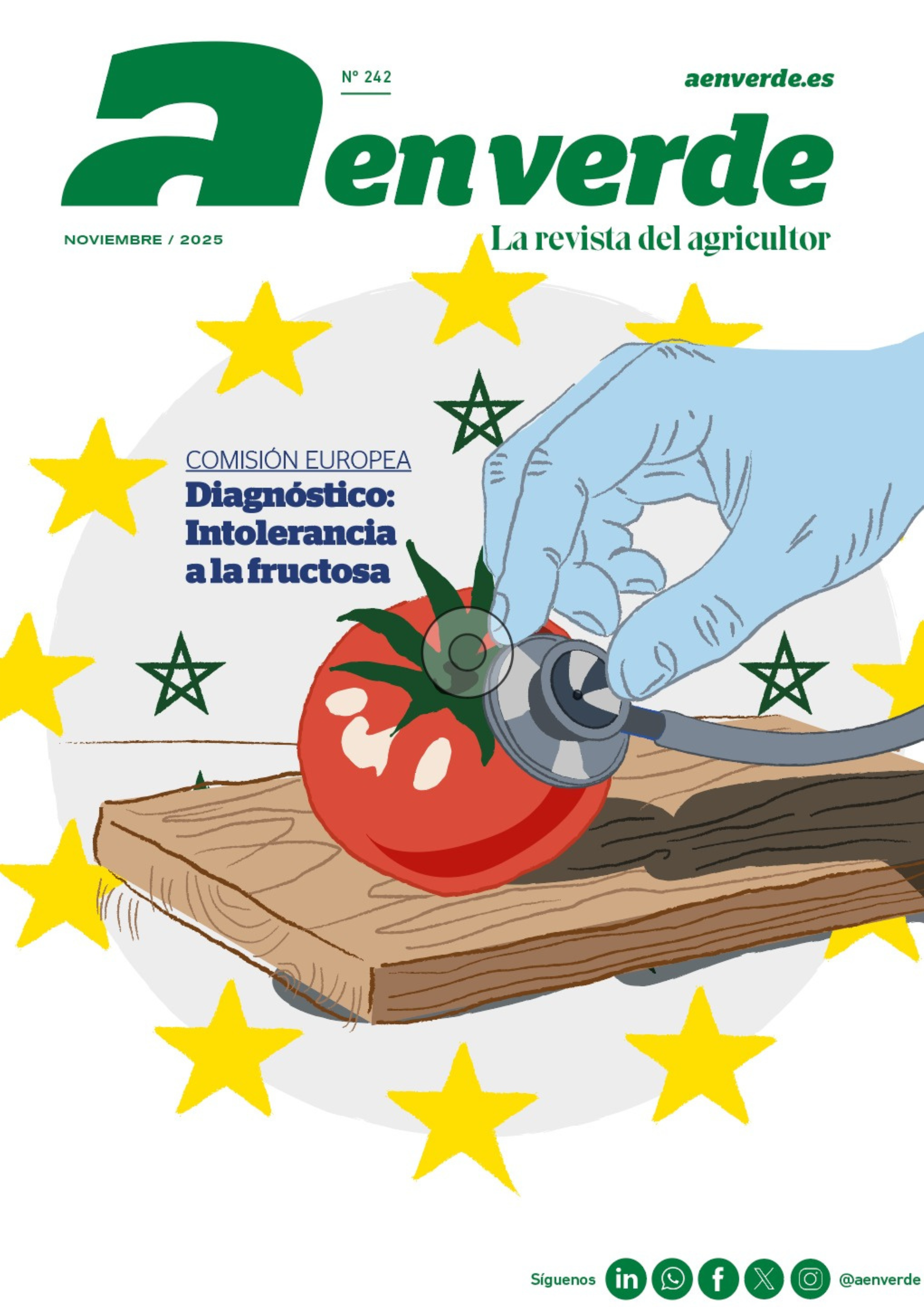 portada 242