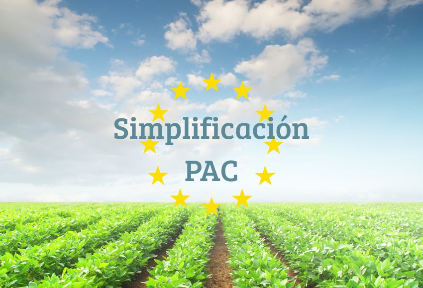 simplificación PAC