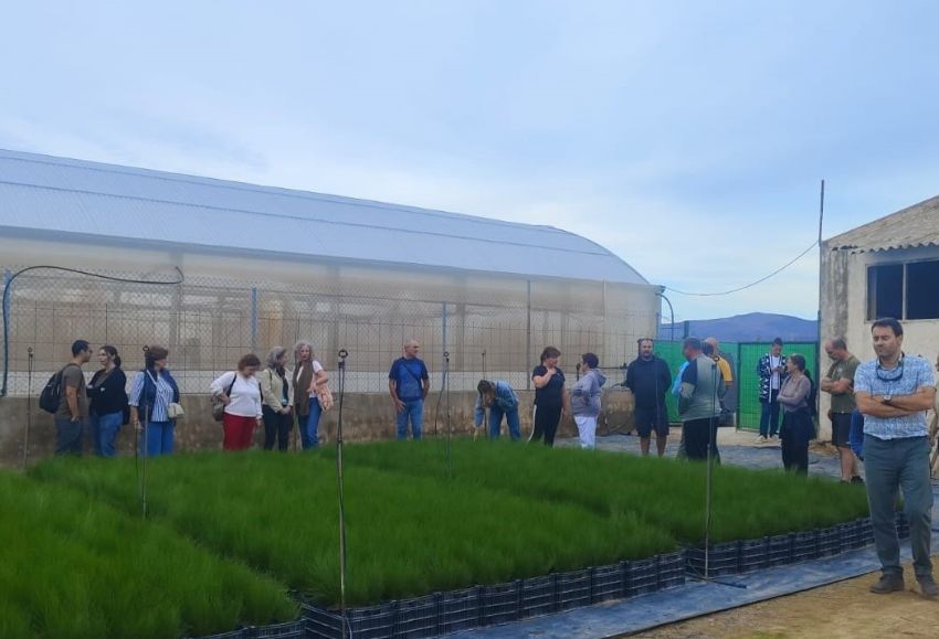 vivero