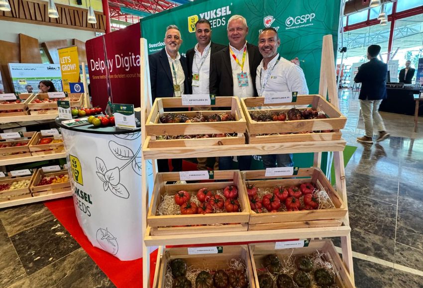 yuksel en tomato congress