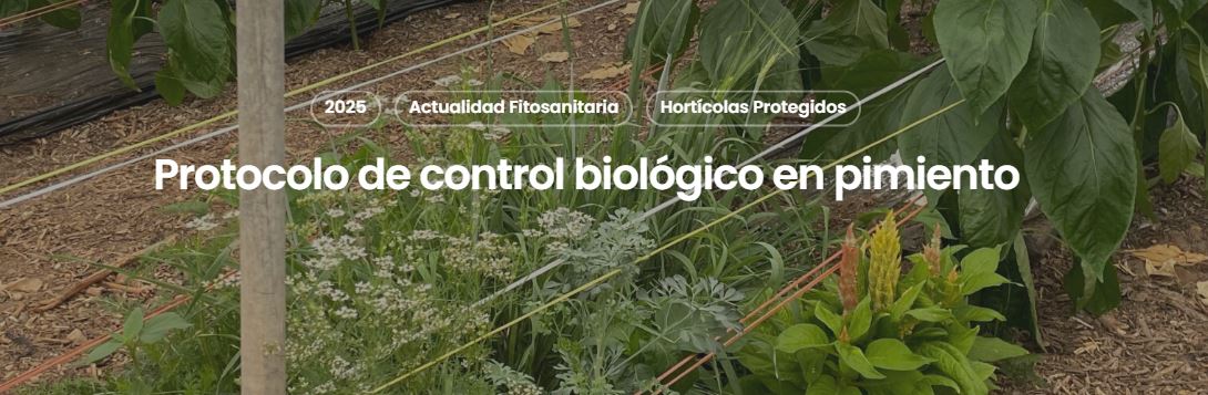 Portada web protocolo control biológico pimiento
