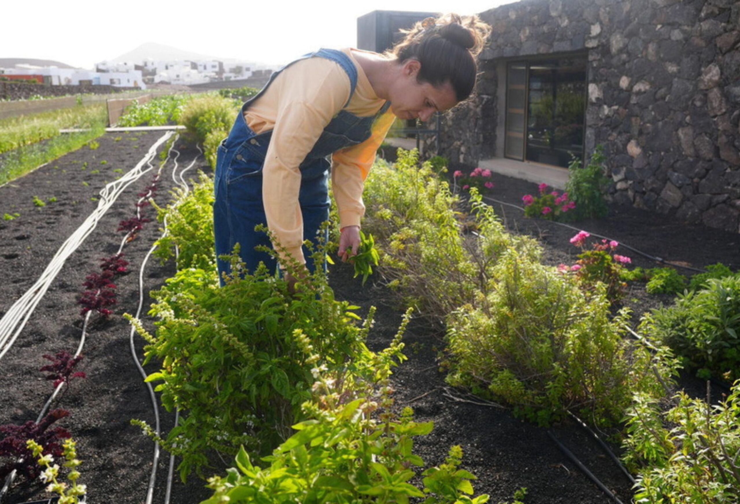 agricultora de Lanzarote
