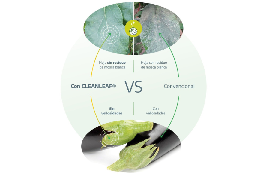 cleanleaf-rijk-zwaan
