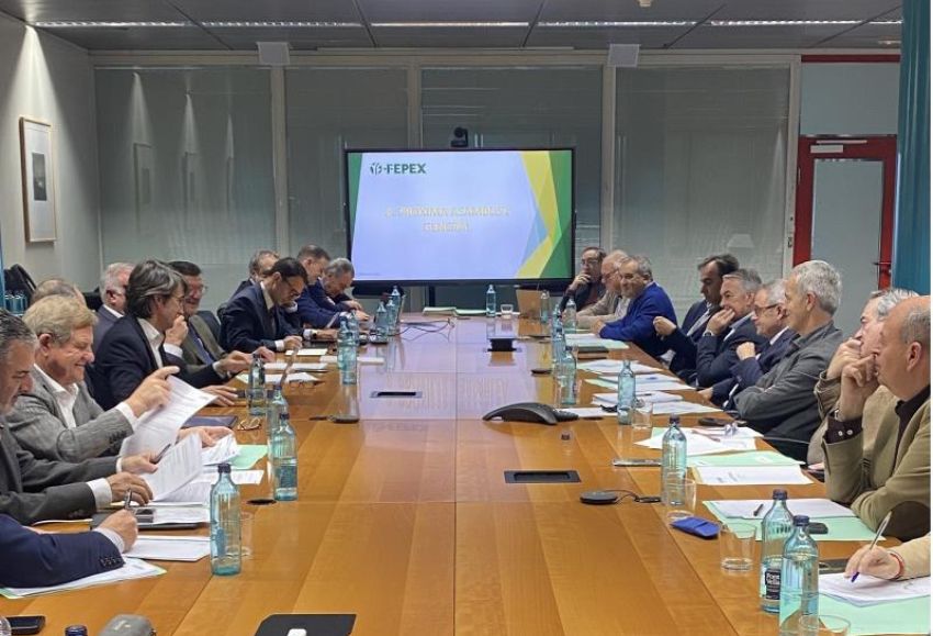 comision fepex