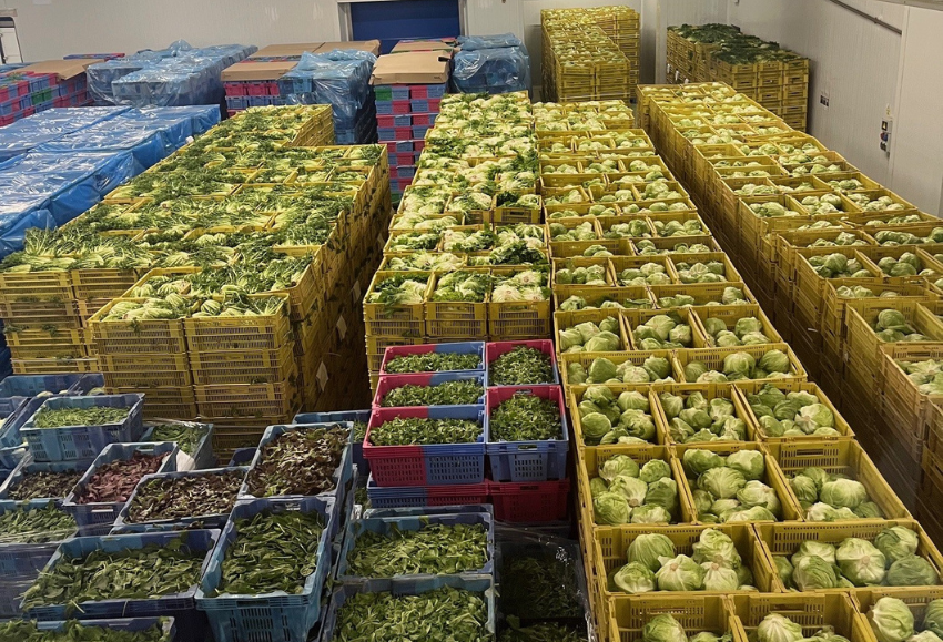 florette-murcia (2)
