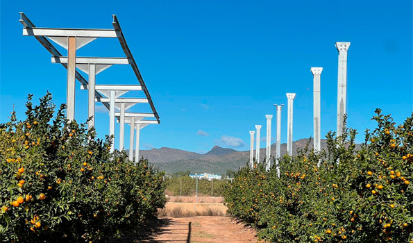 agrivoltaica