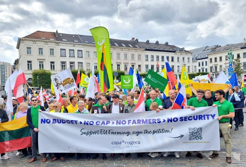 manifestación bruselas
