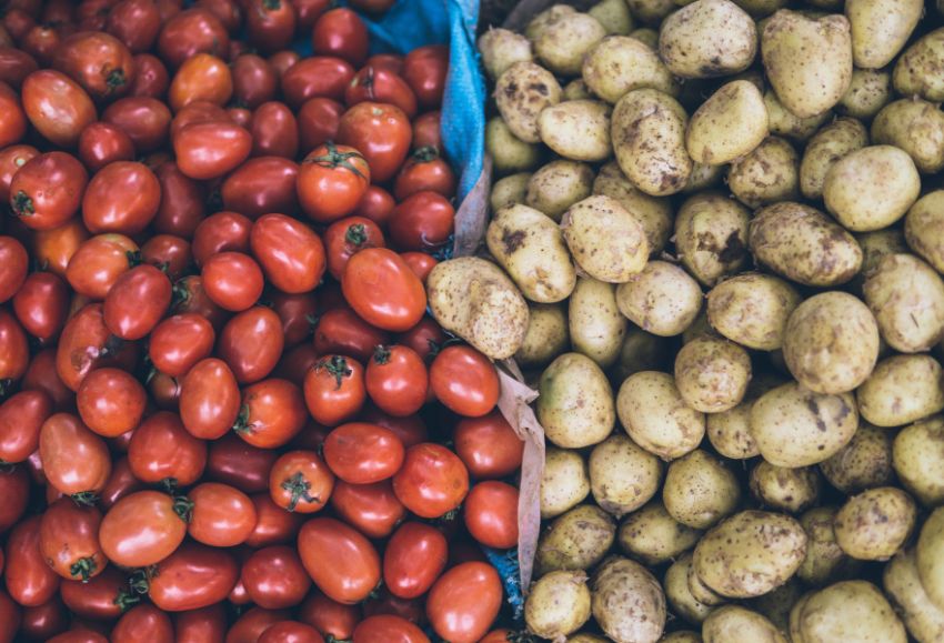 patatas y tomates