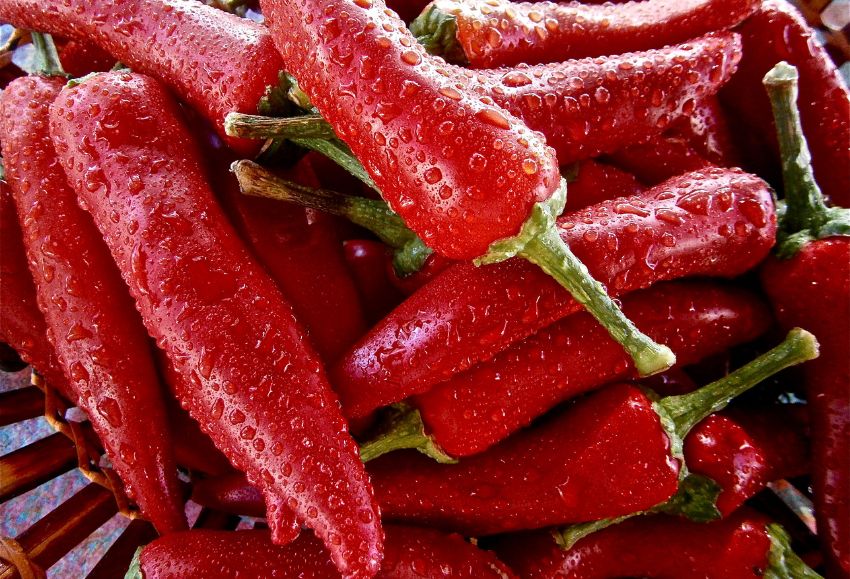 pimientos picantes