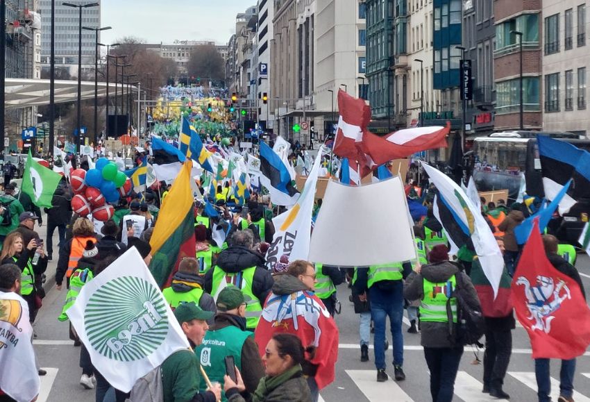 protesta bruselas