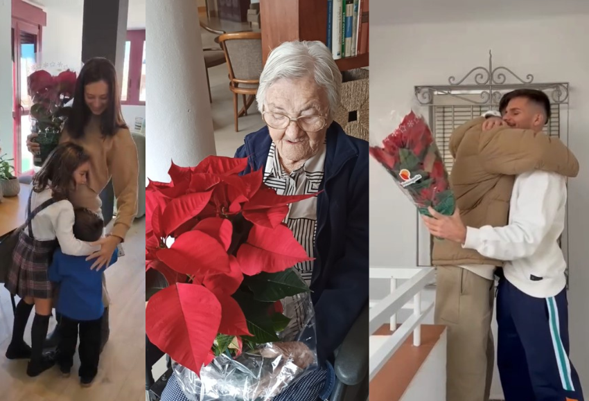 regala-flor-de-pascua (3)