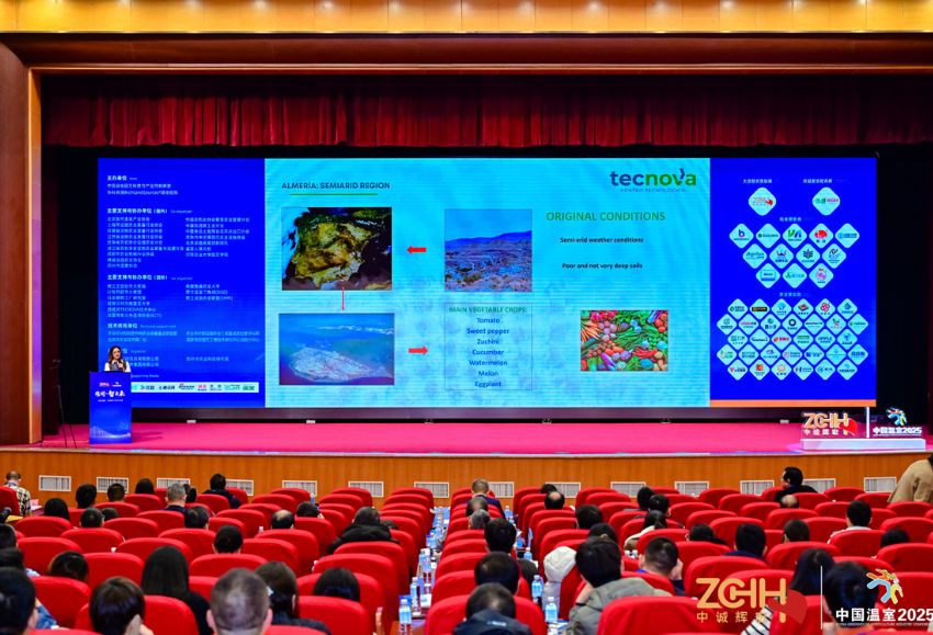tecnova en China