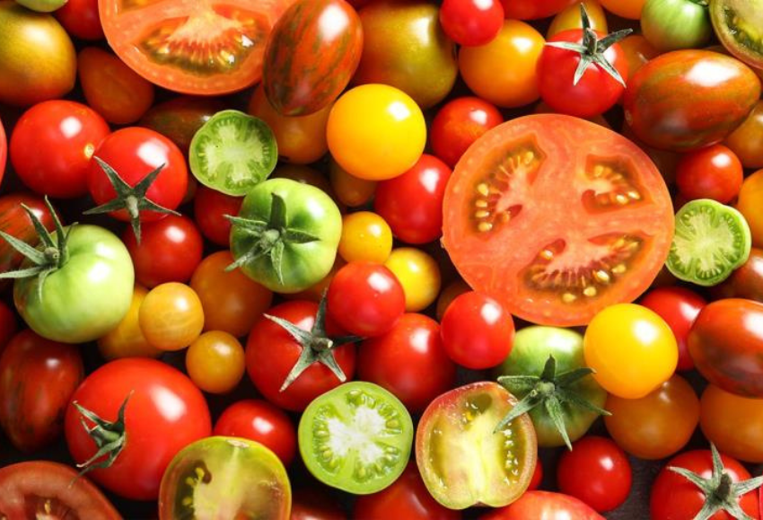 tomate (2)