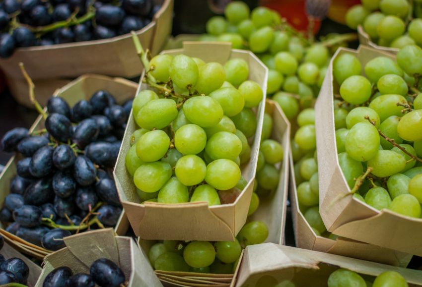 uvas