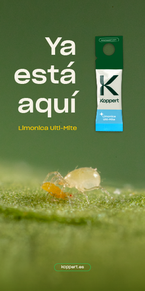 banner koppert limonica