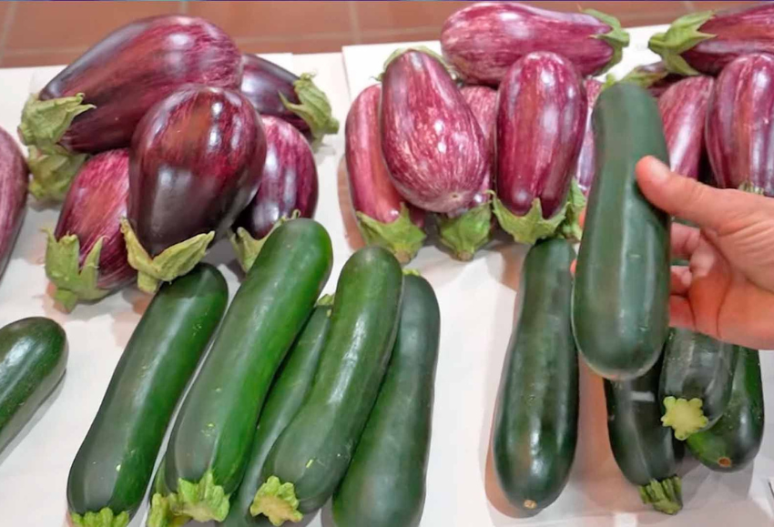 calabacin-cajamar