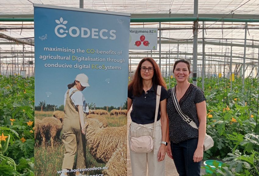 codecs