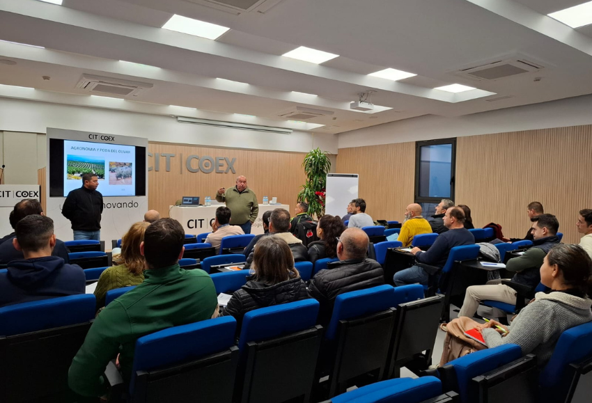 curso-poda-olivar(2)