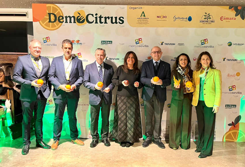 democitrus-sevilla-2026 (2)