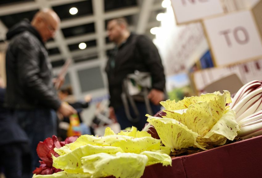 fruit logistica