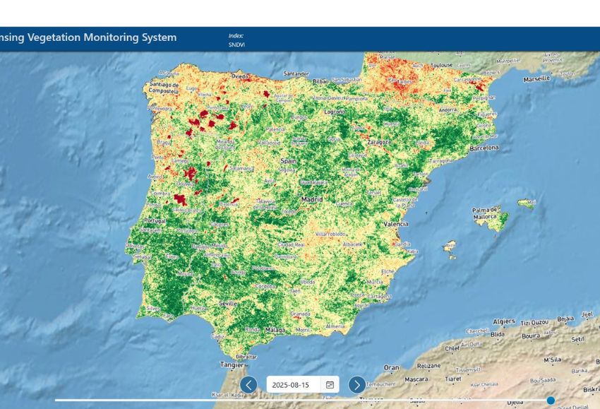 mapa vegetación