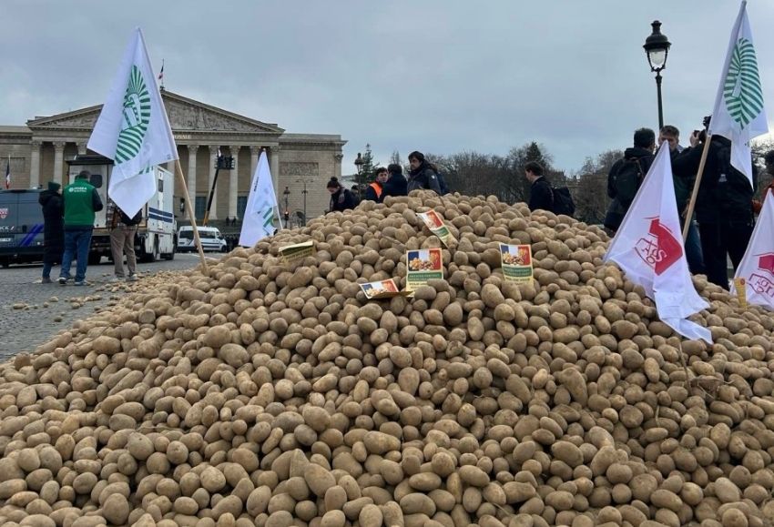 protesta Francia