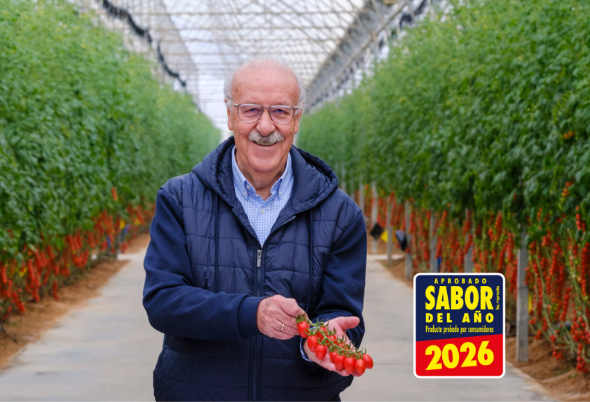 tomate-lobello-sabor-del-año (2)